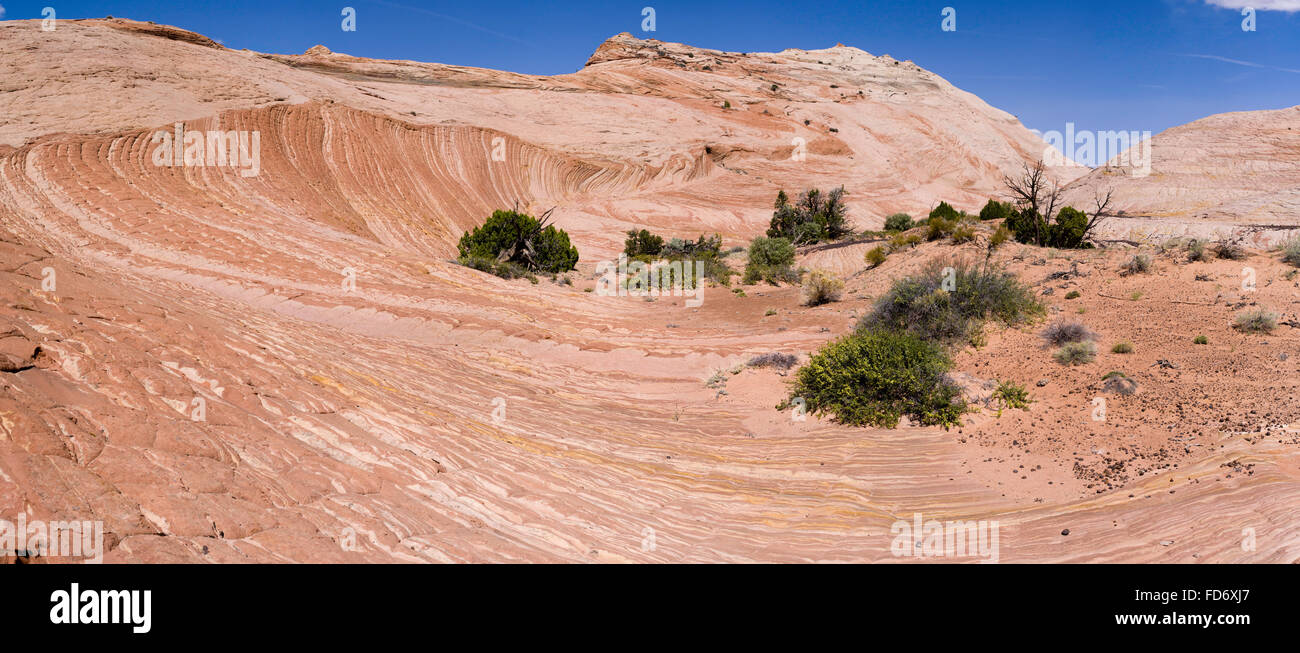 Einen eindrucksvollen Blick auf geschichteten Sandstein in der Nähe von Zebra Slot entlang Harris Wash, Grand Staircase-Escalante National Monument in der Nähe von Escal Stockfoto