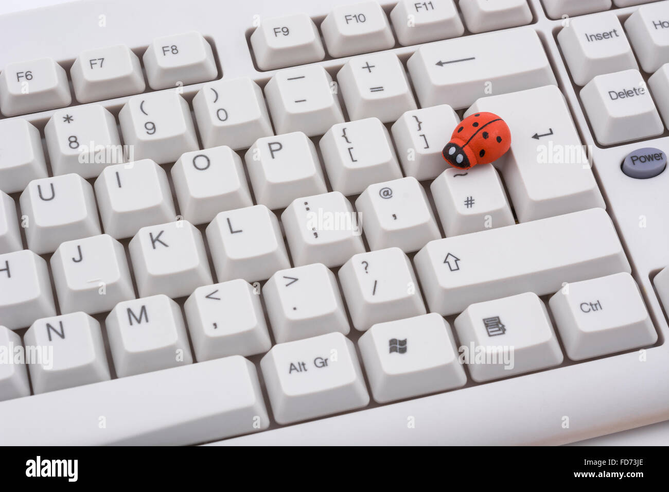 Marienkäfer / Ladybug auf PC-Tastatur - als visuelle Metapher für den Begriff "Computervirus" oder virale / System "Infektion". Stockfoto