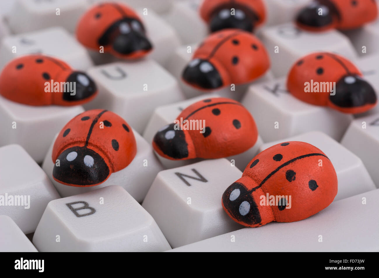 Marienkäfer / Marienkäfer auf PC-Tastatur - als visuelle Metapher für den Begriff "Computervirus" oder virale / System "Infektion". Stockfoto