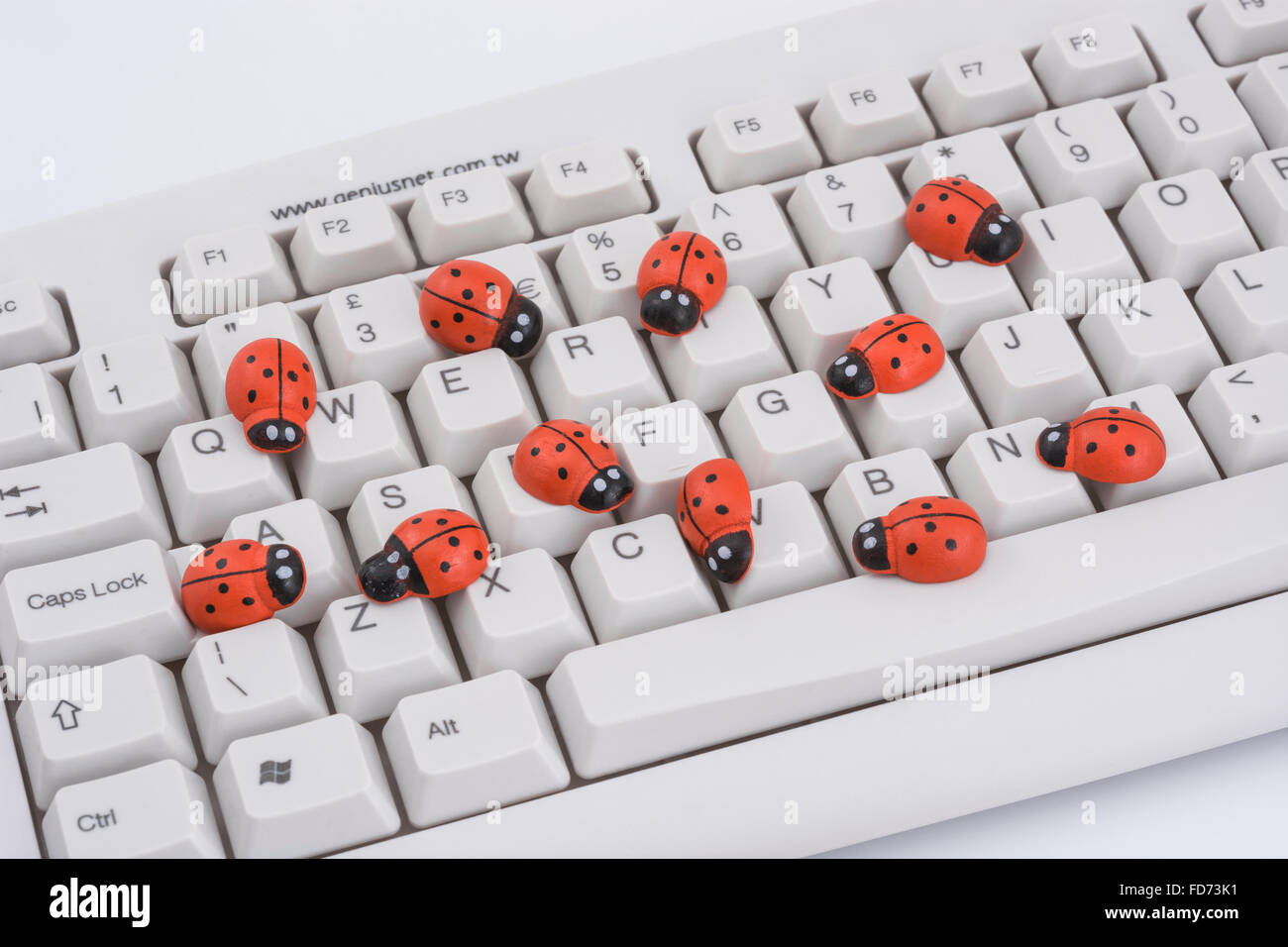 Marienkäfer / Marienkäfer auf PC-Tastatur - als visuelle Metapher für den Begriff "Computervirus" oder virale / System "Infektion". Stockfoto