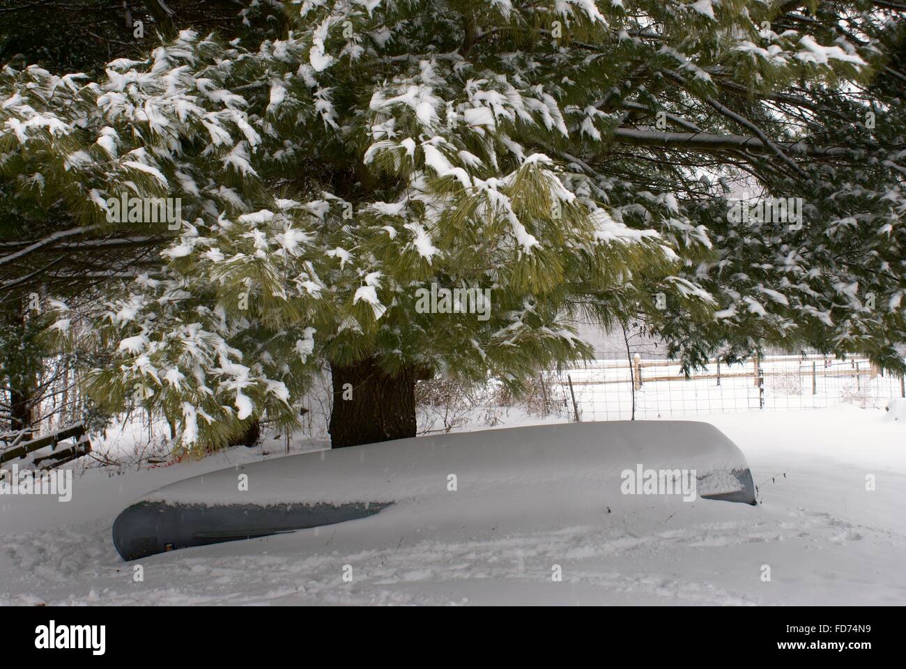 Winter Schnee Foto von Bäumen mit einem hölzernen Zaun in den Boden zurück und ein Kanu unter dem Baum mit Schnee bedeckt. Stockfoto