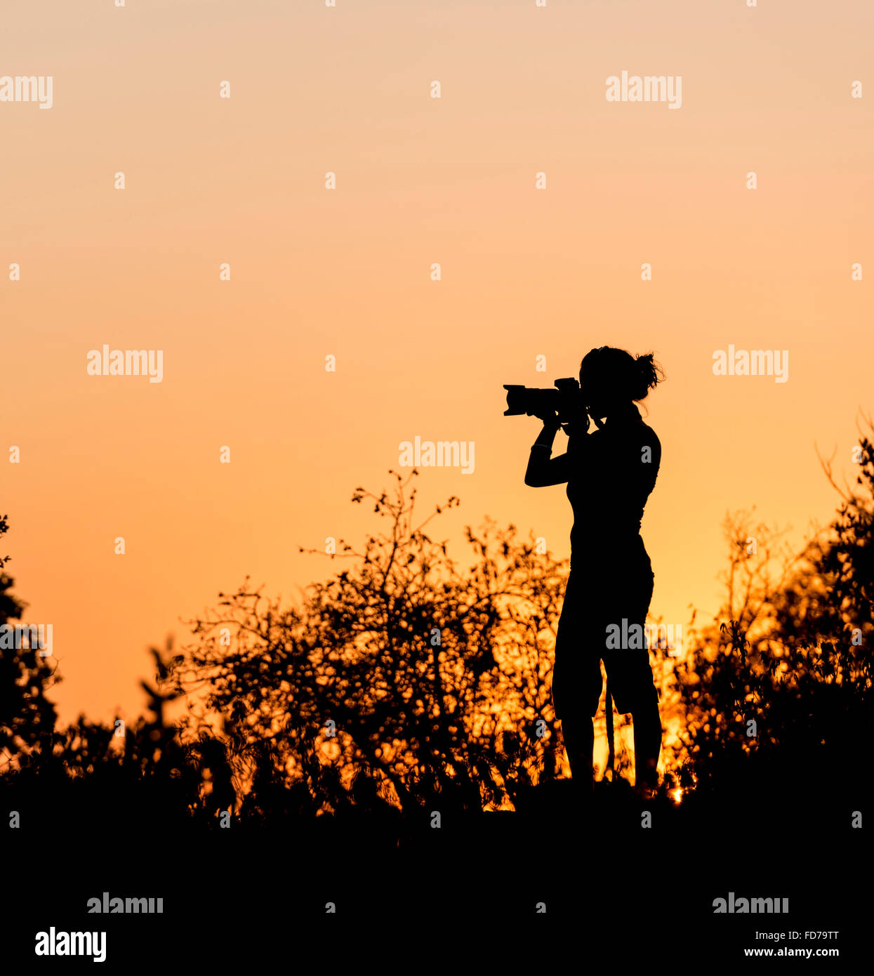 Fotograf gegen einen goldenen Sonnenuntergang Himmel in Afrika Stockfoto
