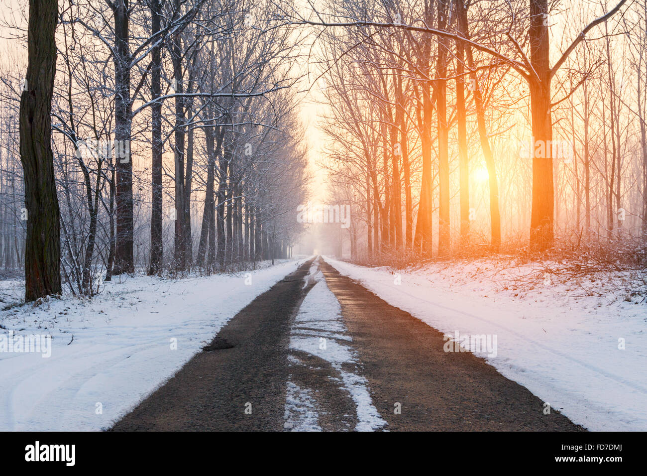 Winter-Landstraße zwischen mattierte Bäumen durch die Morgensonne beleuchtet. Ungarn Stockfoto