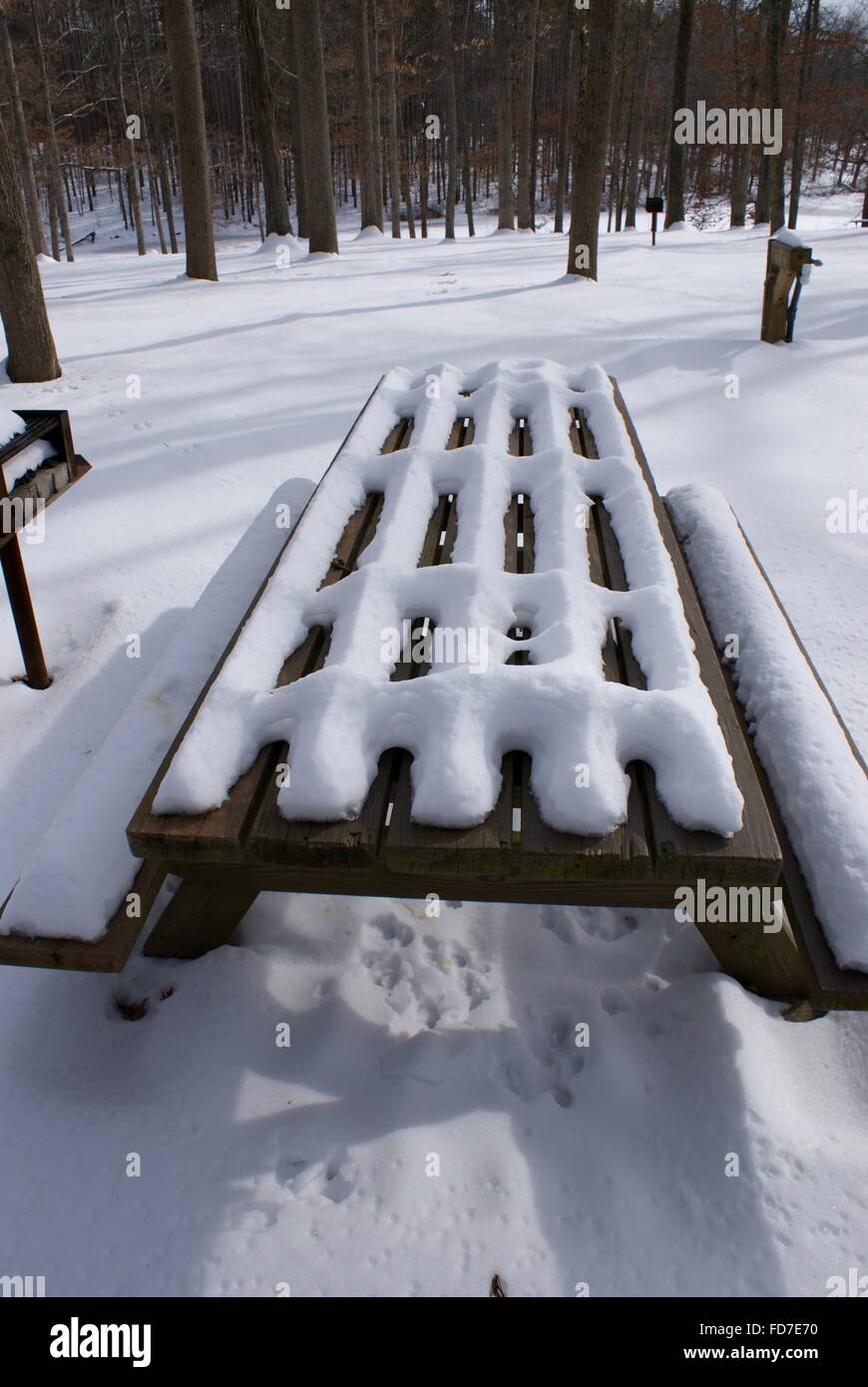 Bild der Picknick-Tisch schneebedeckt im Yellowwwood State Forest, Indiana Stockfoto