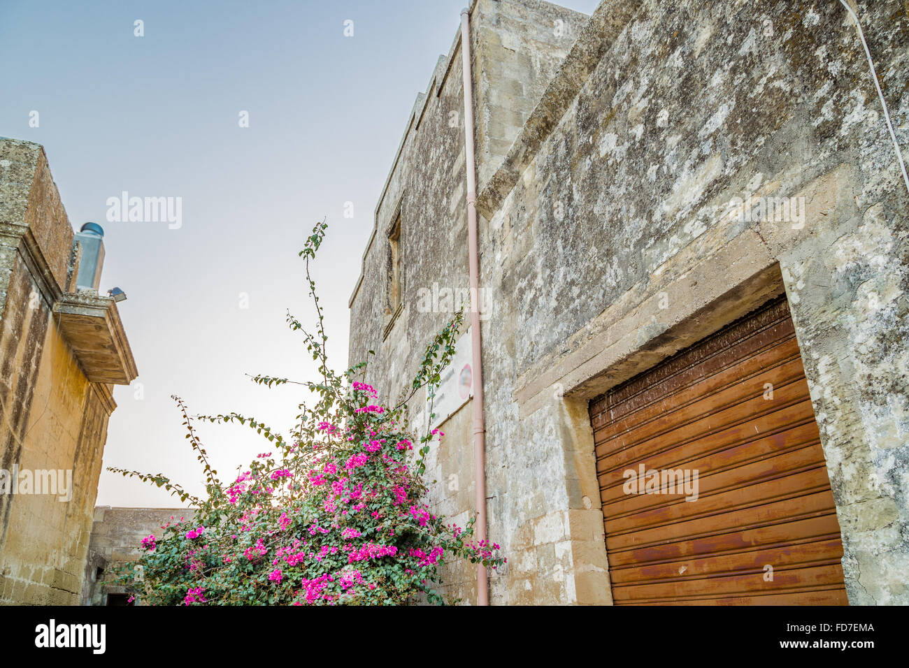 Bougainvillea-Blüten in der Nähe von Mauern des kleinen befestigte Zitadelle des XVI. Jahrhunderts in Italien Stockfoto