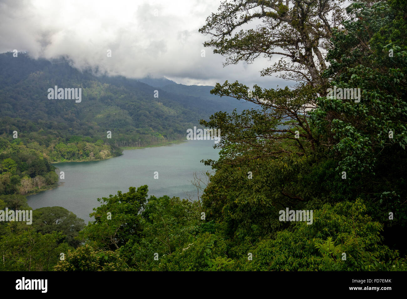 See Danau Buyan und Danau Tamblingan See, Landschaft, Wolken, Wald, Banjar, Bali, Indonesien, Asien, Stockfoto