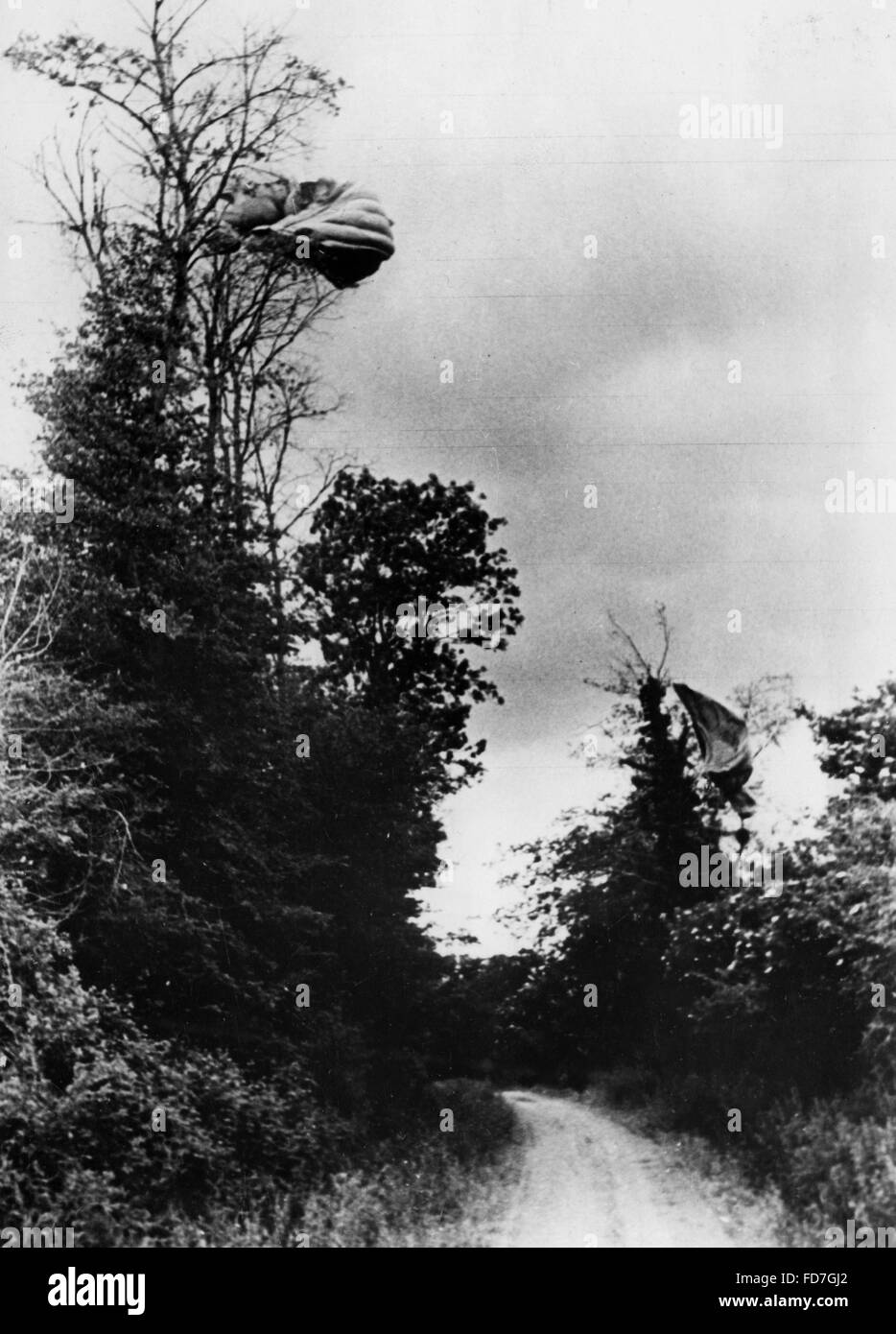 Fallschirme der britischen Luftlandetruppen auf Bäumen, 1944 Stockfoto