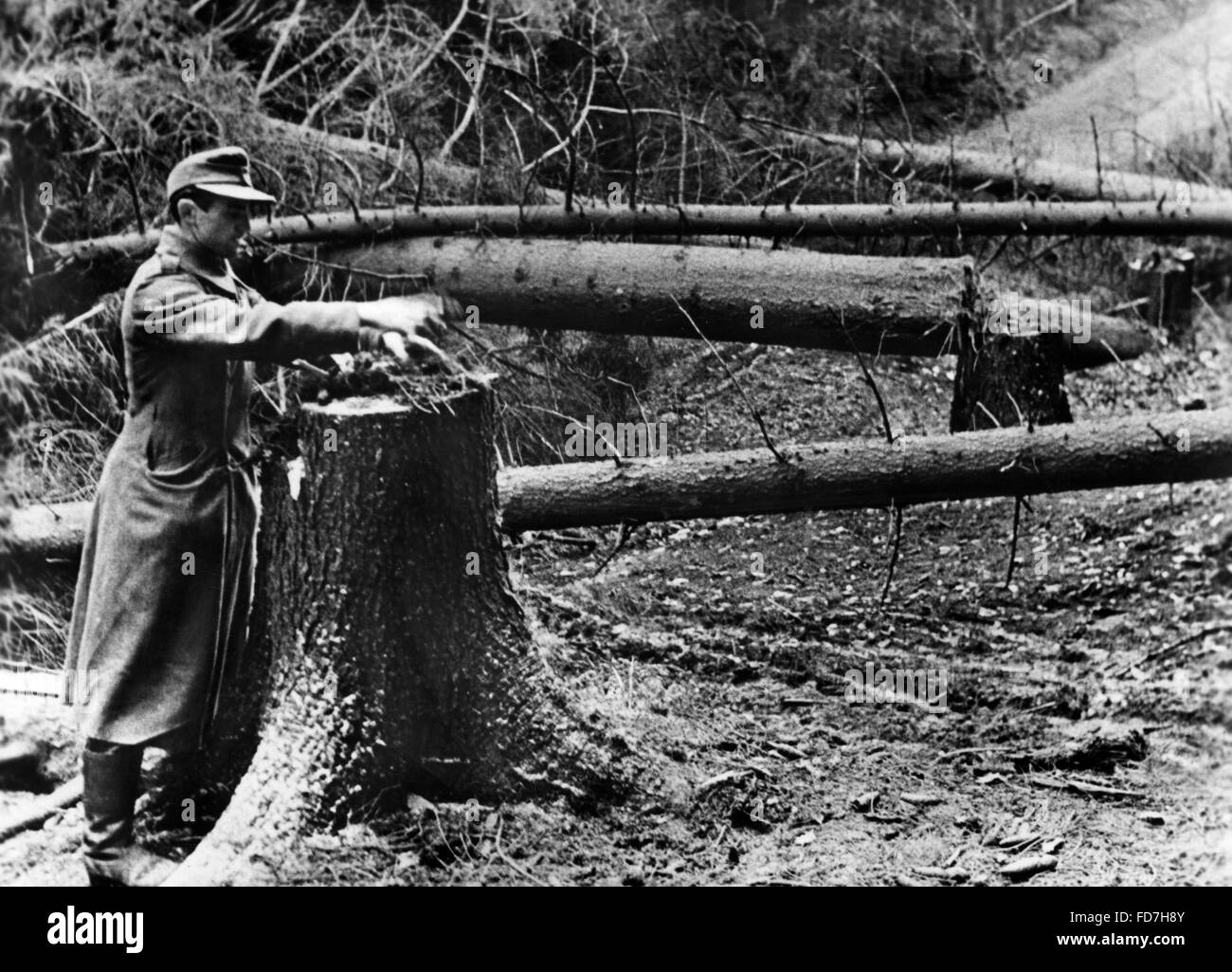 Deutscher Pionier gebaut Panzerfallen in einem Wald in Lothringen, 1944 Stockfoto