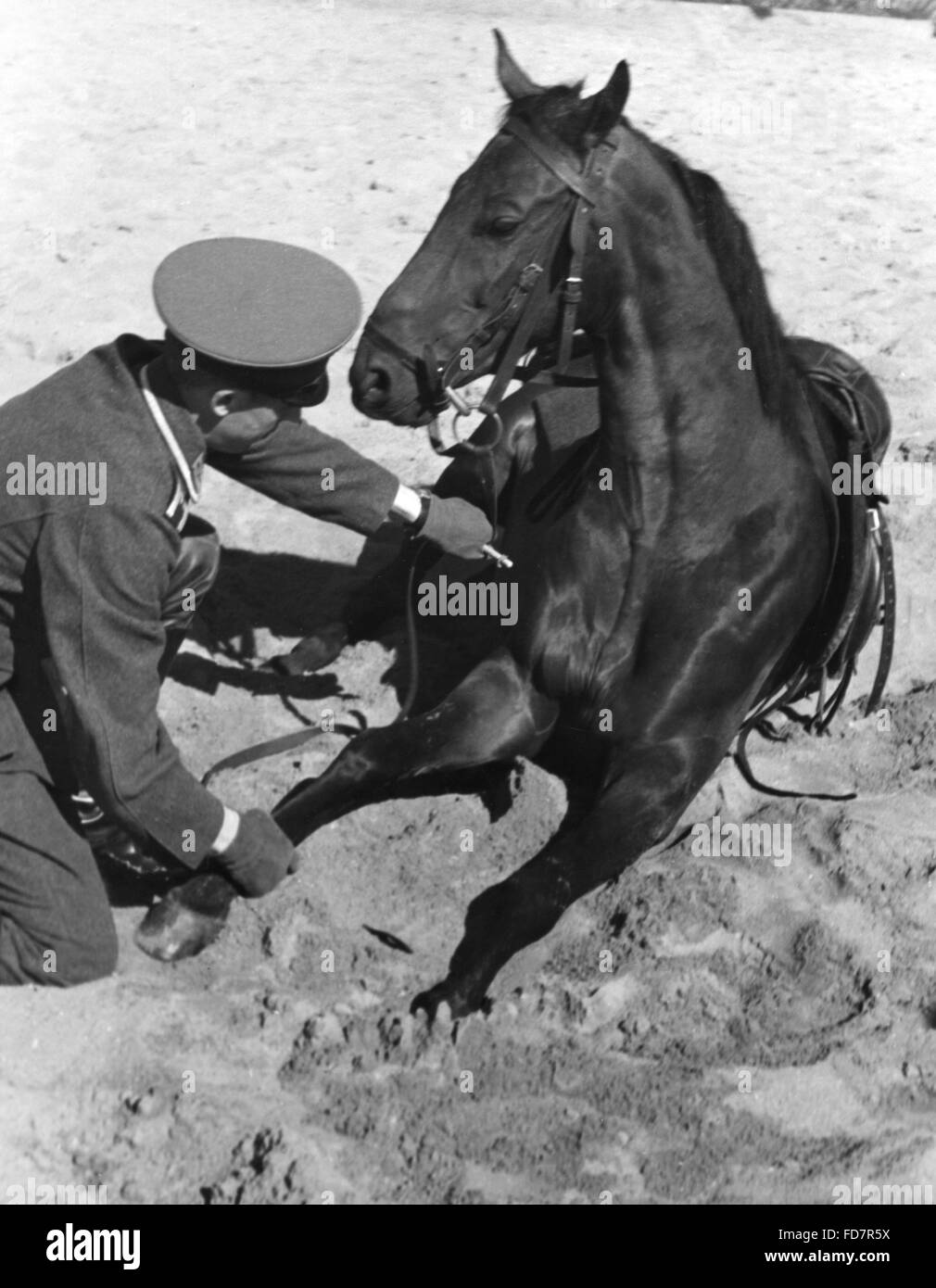 Soldat der Wehrmacht Ausbildung seines Pferdes, 1936 Stockfoto