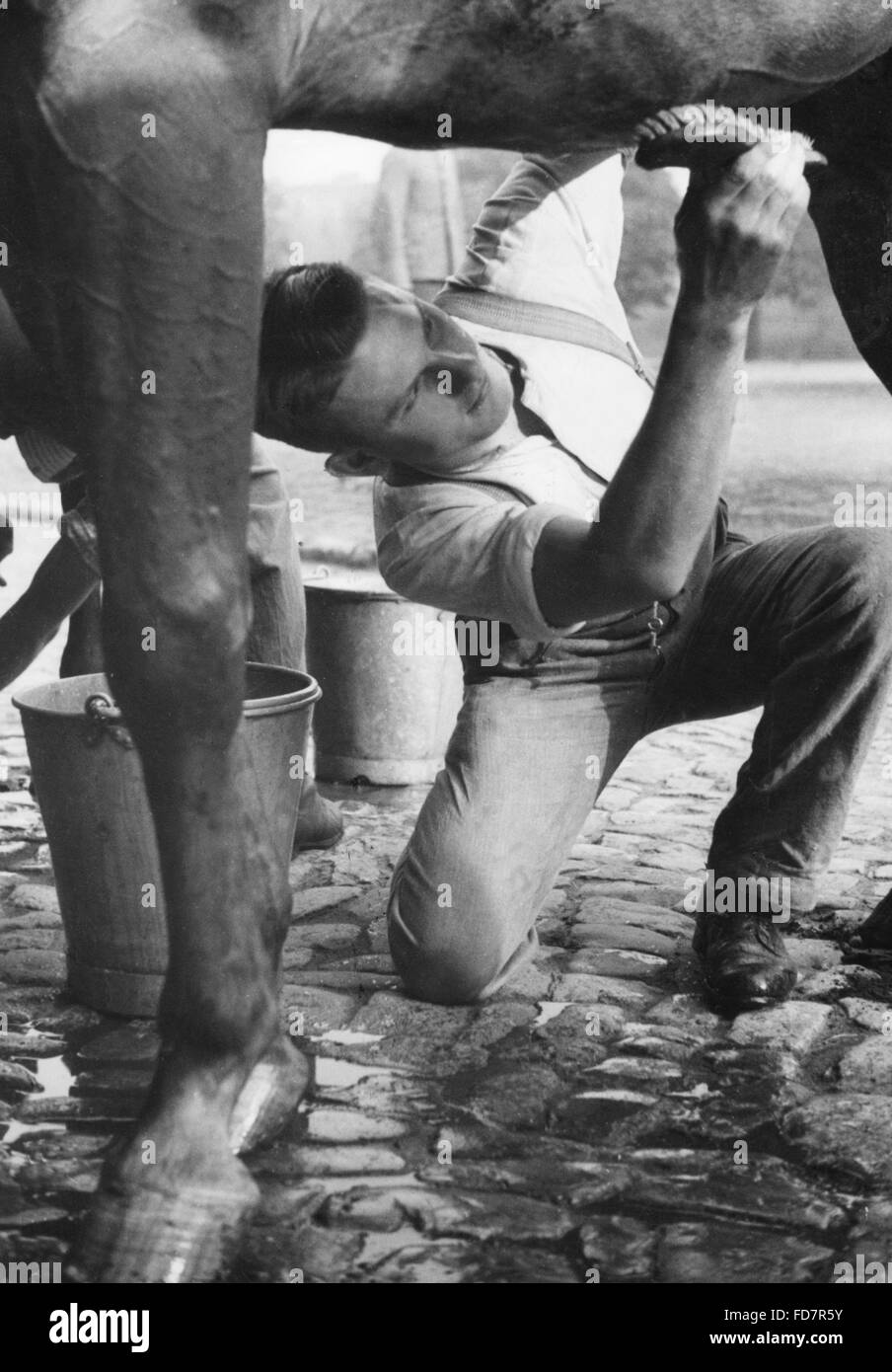 Soldat der Wehrmacht Reinigung sein Pferd in den 30er Jahren Stockfoto