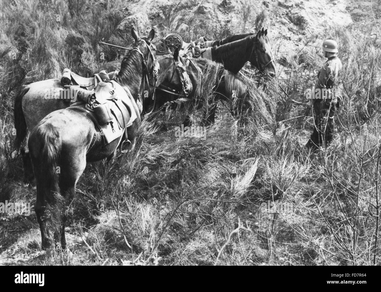 Wehrmacht bataillon Fotos und Bildmaterial in hoher Auflösung Seite