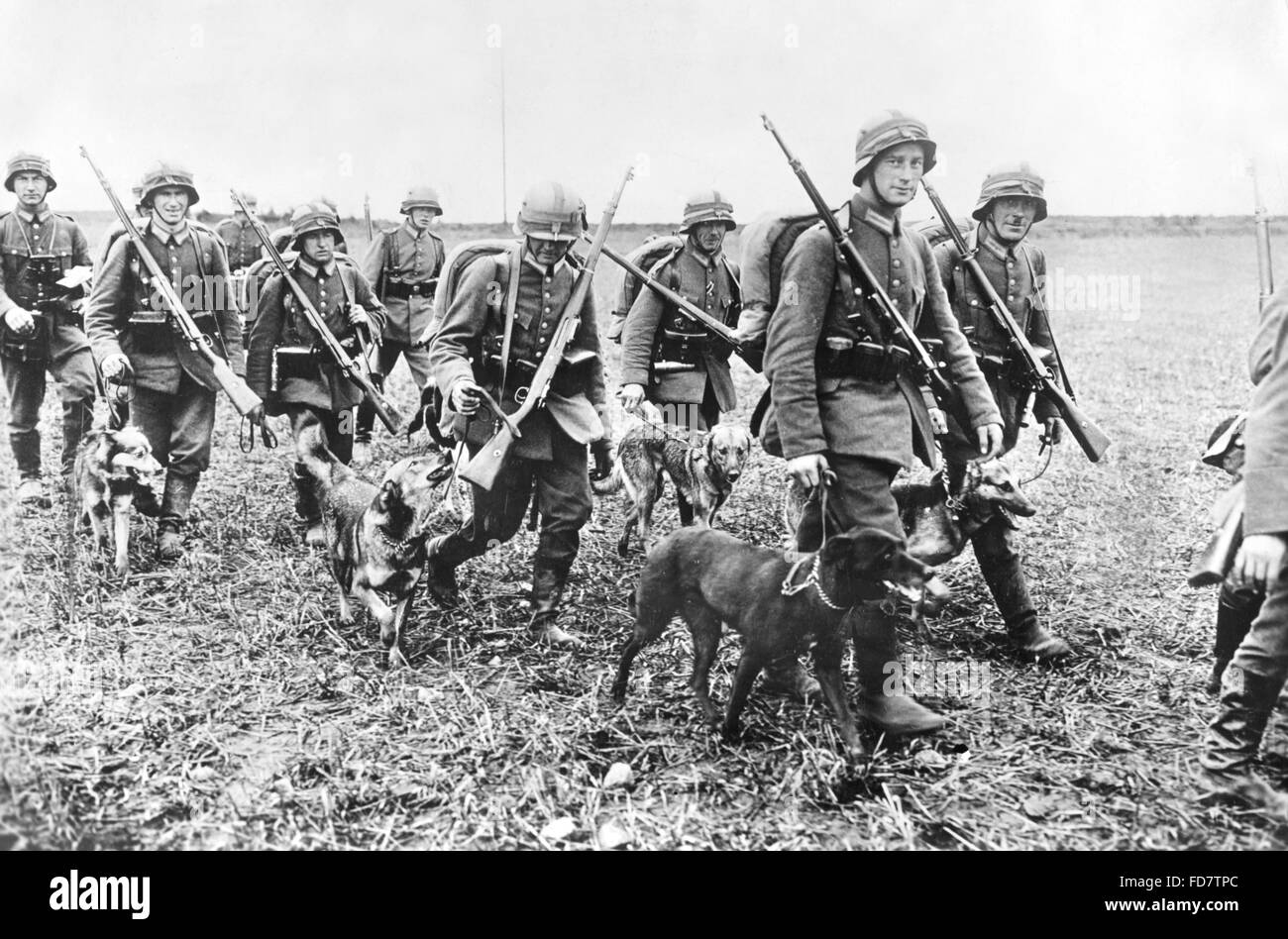 Waffenfarben Reichsheer – Ranks and insignia of the German Army (1935 ...
