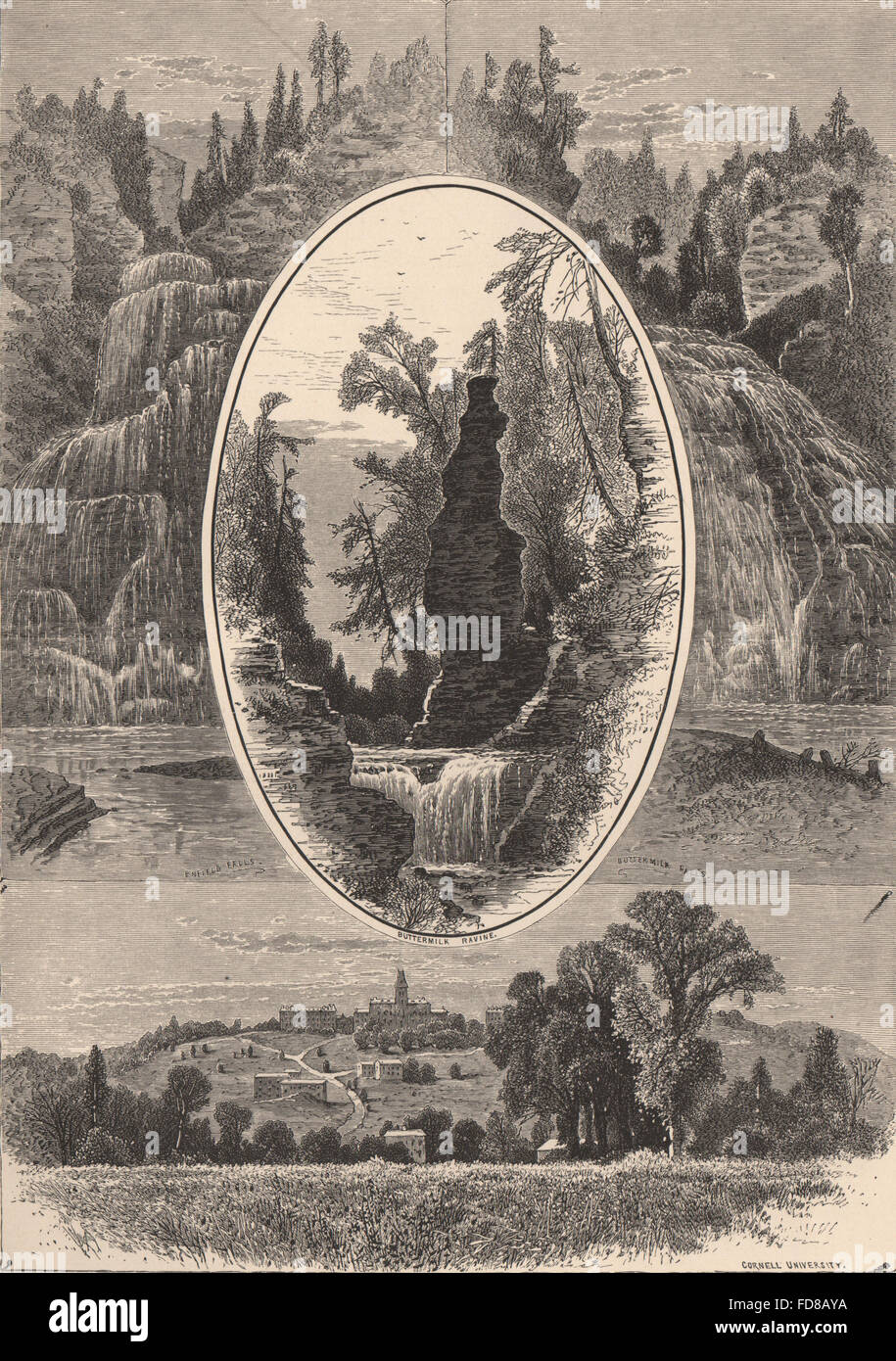 NEW YORK STATE: Ithaca-Bereich. Cornell Universität. Enfield/Buttermilch fällt, 1874 Stockfoto