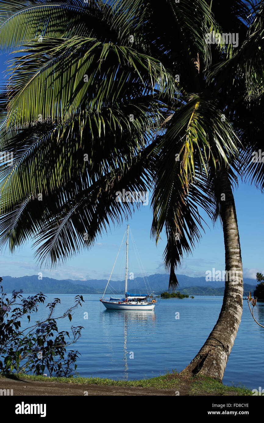 Savusavu Hafen, Vanua Levu Insel, Fidschi, South Pacific Stockfoto