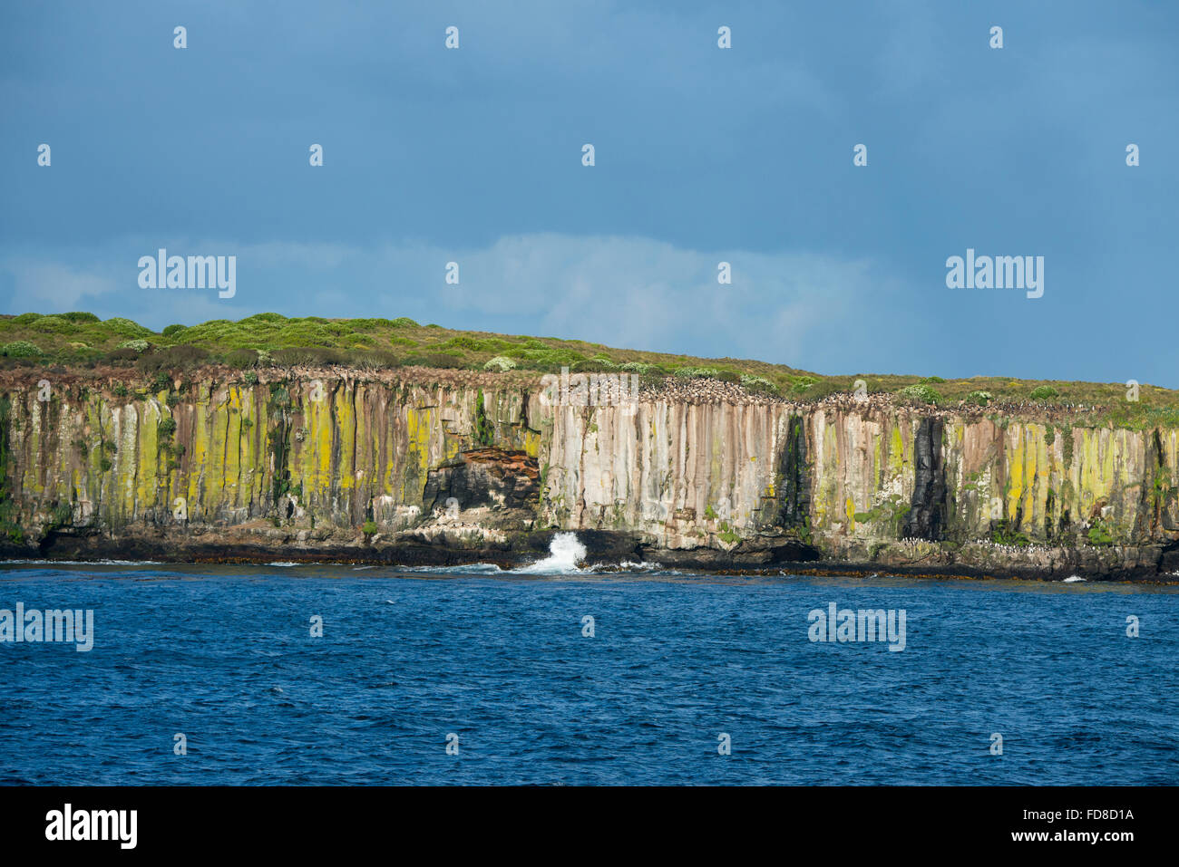 Neuseeland, Auckland-Inseln. Südlichen Meer-Blick auf die Klippen auf Enderby Island in der Nähe von Sandy Bay. Vogelfelsen. Stockfoto