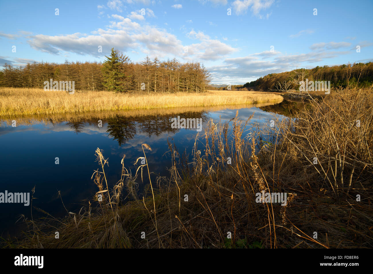 Spiegel Flusslandschaft bei Sonnenuntergang. Sachalin, Russland. Stockfoto