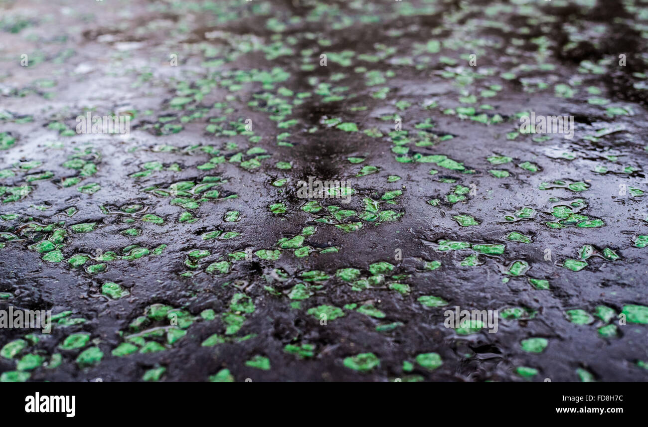 Schwarze Straße Asphaltdecke mit ungewöhnlichen Flecken von grünen Steinen. Stockfoto