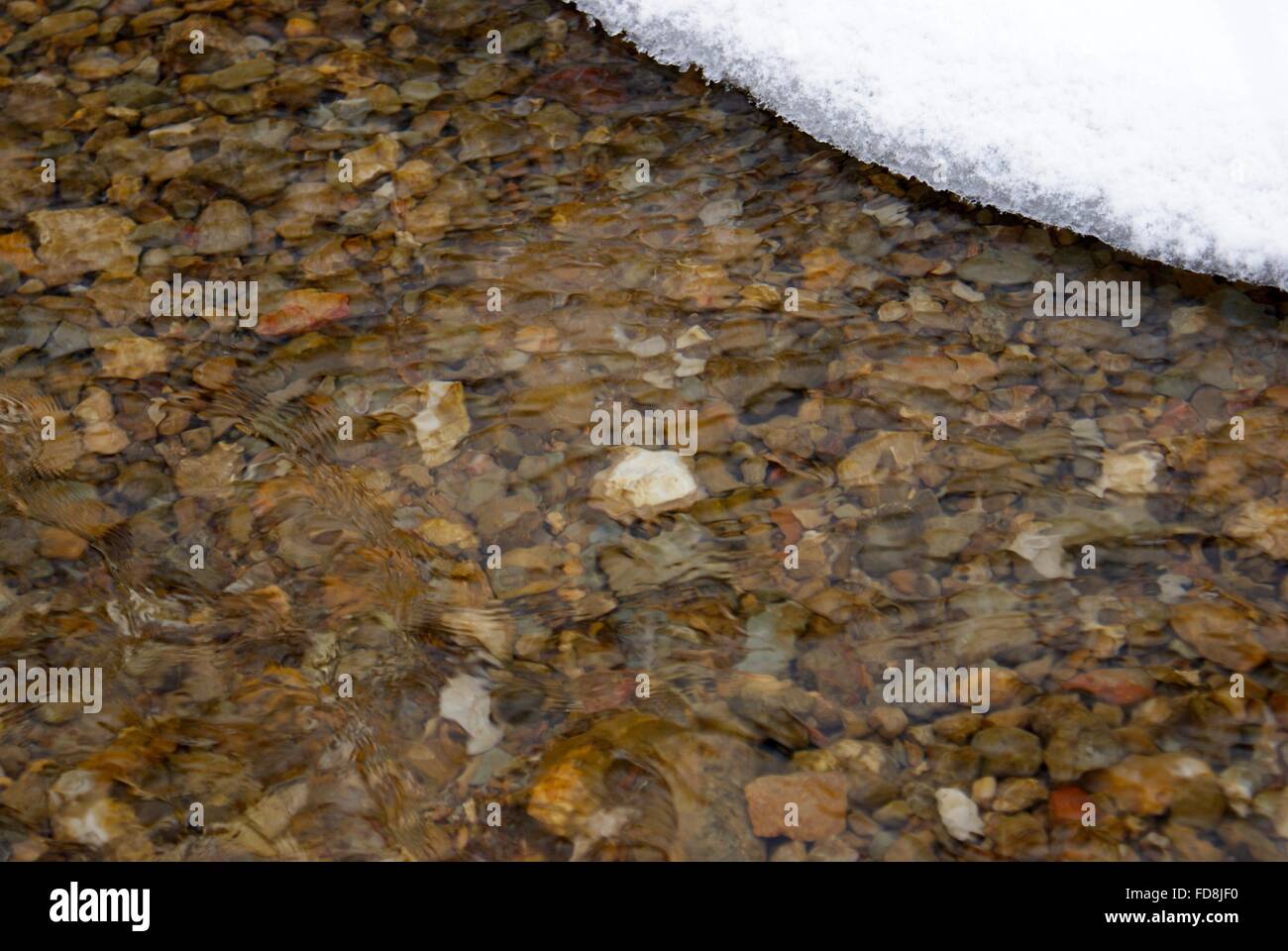 Der felsige Boden eines Baches mit kalten Regen Schneewasser laufen. Stockfoto