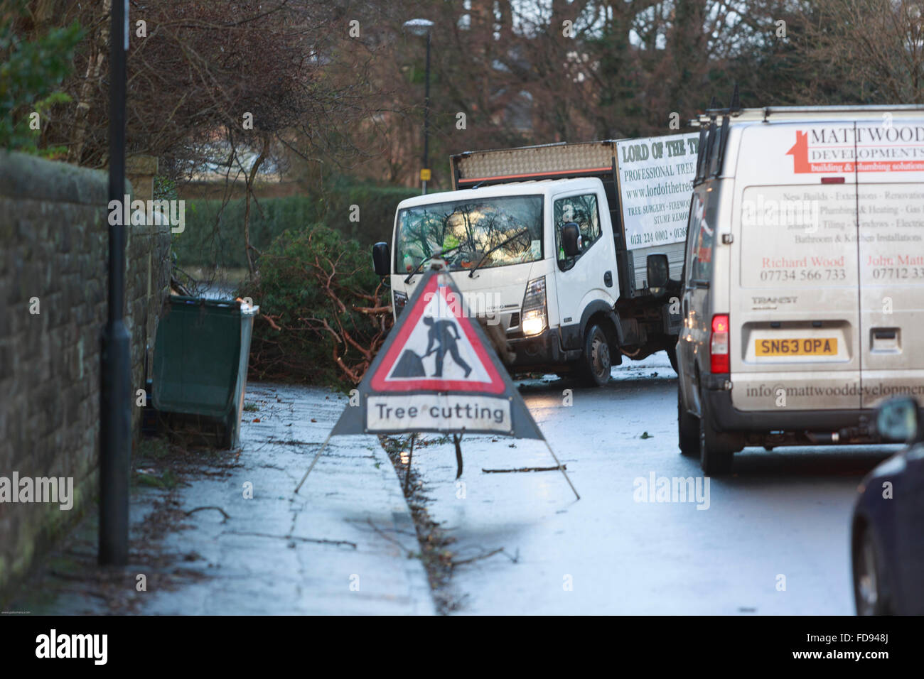 Edinburgh, UK. 29. Januar 2016. Schottland von Gertrude Sturm zerschlagen. Ein umgestürzter Baum blockierte die Straße im Hermitage Drive, Edinburgh. Pako Mera/Alamy Live-Nachrichten. Stockfoto