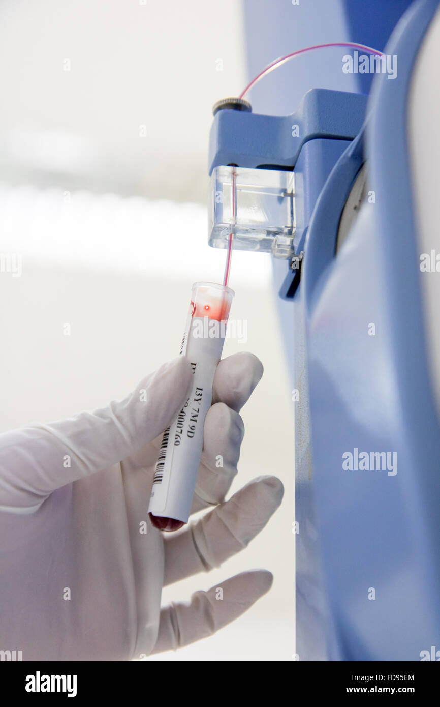 Blut fließt aus der Tube in Hämatologie-Analysator-Maschine Stockfoto