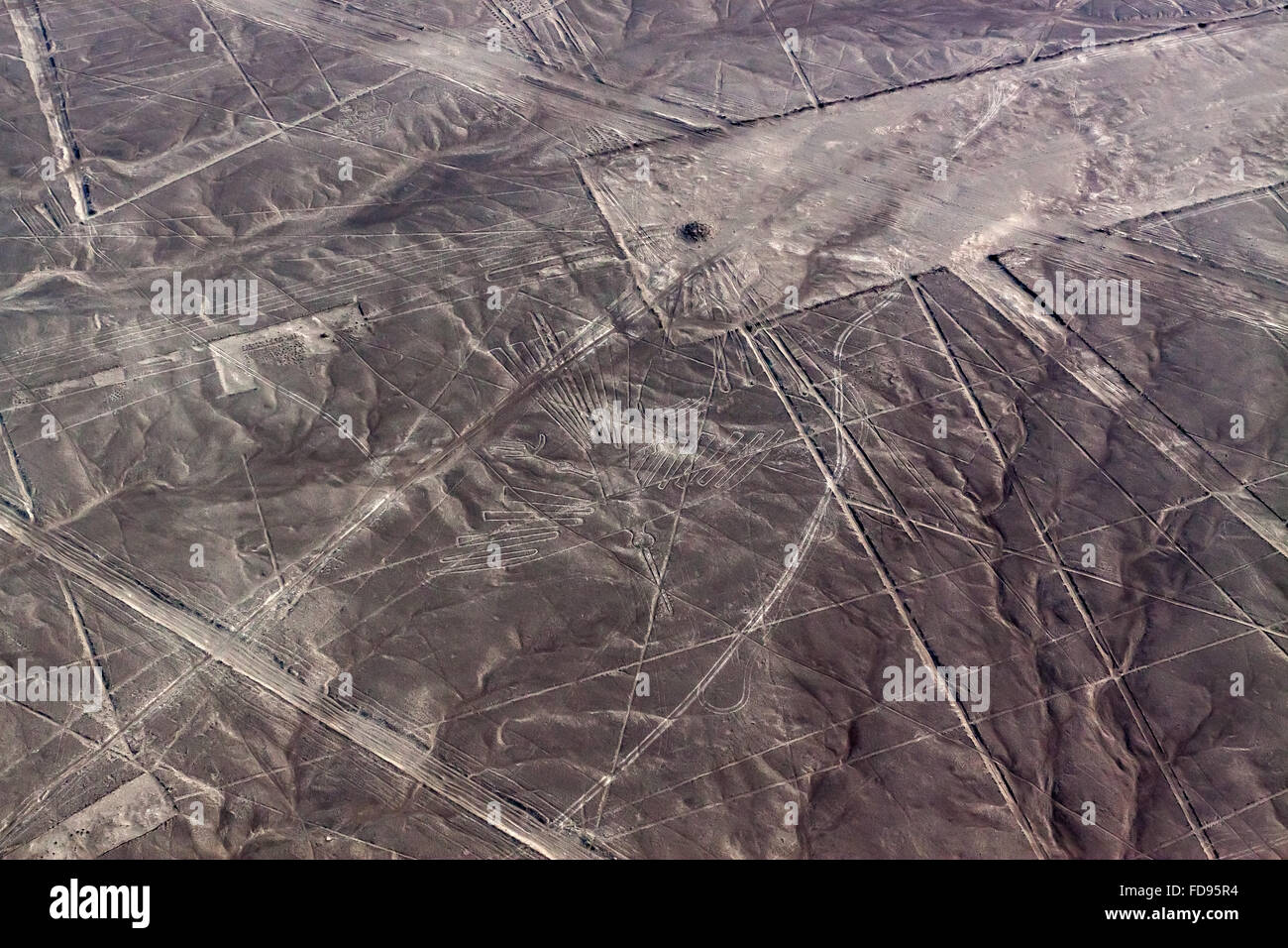 Condór und Trapeze. Nazca-Wüste. Stockfoto