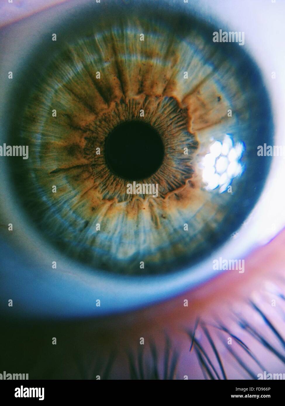 Menschliches Auge Stockfotos und -bilder Kaufen - Alamy