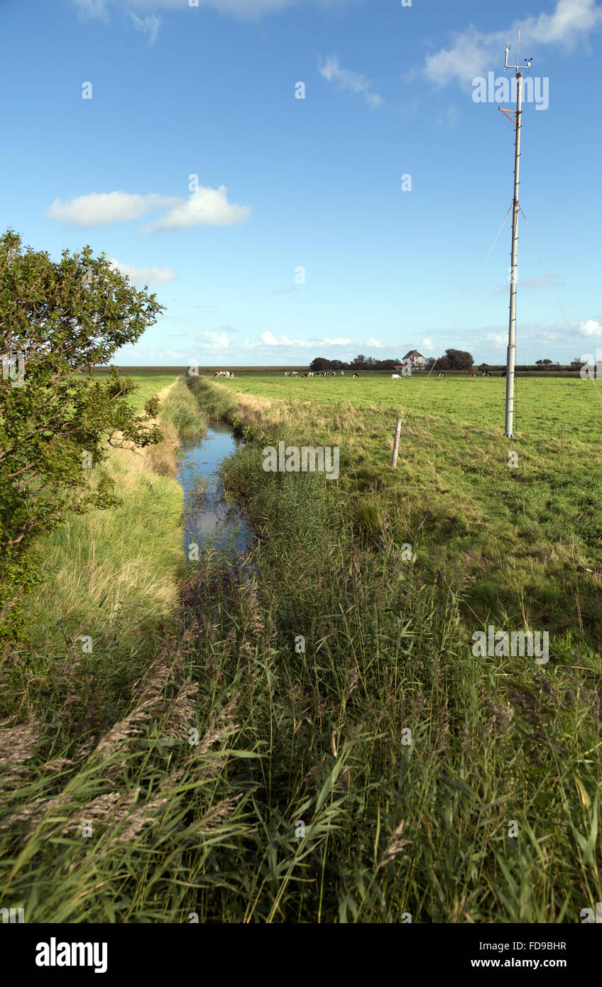 Neuwerk, Deutschland, Weiden und Entwaesserungsgraben auf der Insel Neuwerk Stockfoto