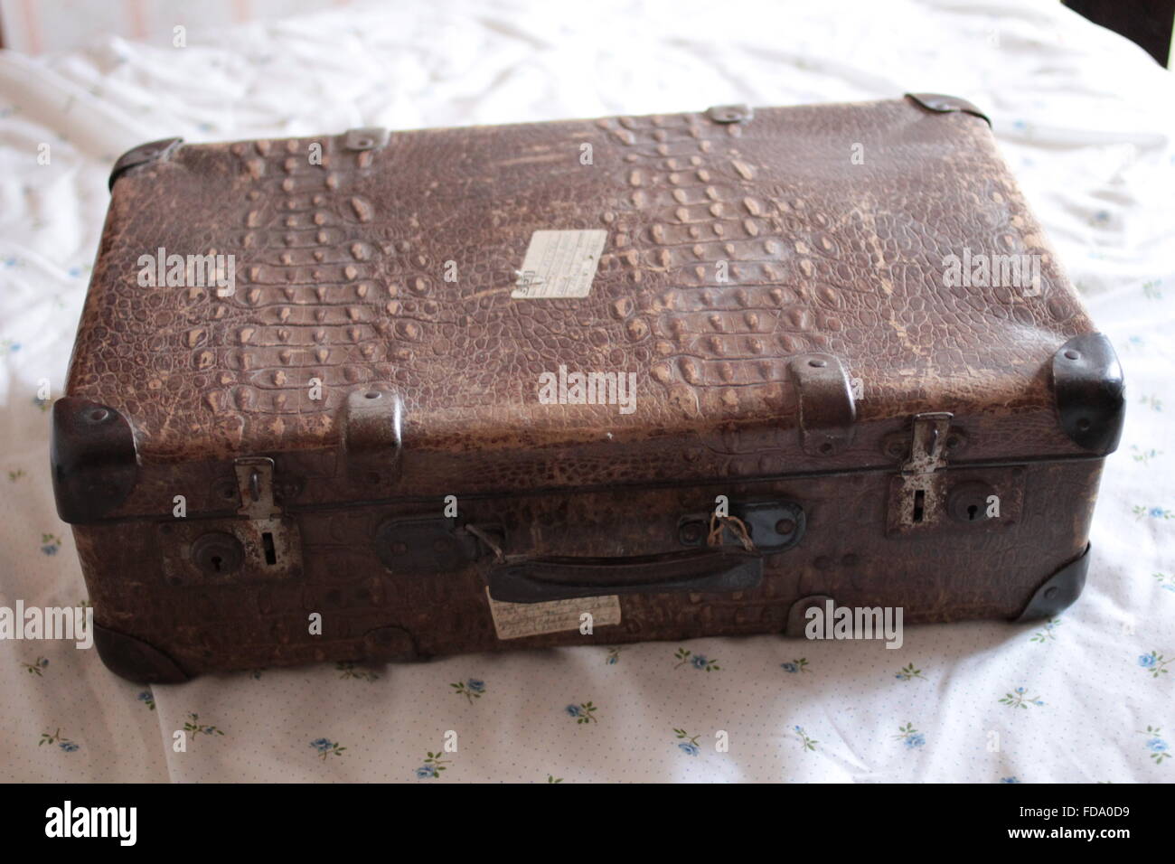 Koffer aus braunem Kunstleder Krokodil-Leder Stockfotografie - Alamy
