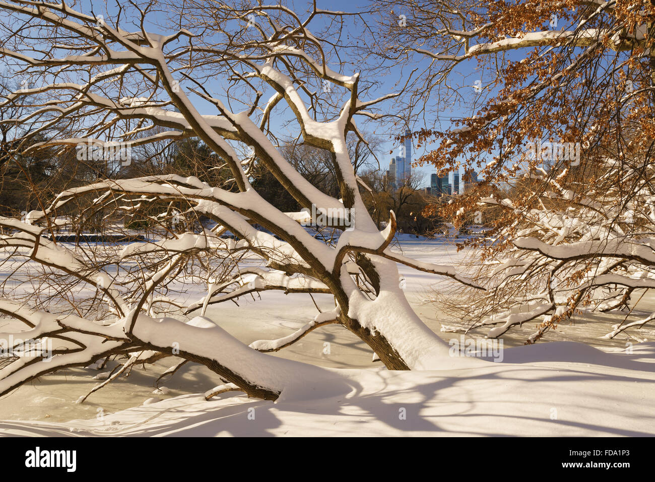 Central Park zugefrorenen See nach einem Schneesturm. Sonnigen Morgen Blick auf entfernte Midtown Manhattan Wolkenkratzer. Winter in New York Stockfoto