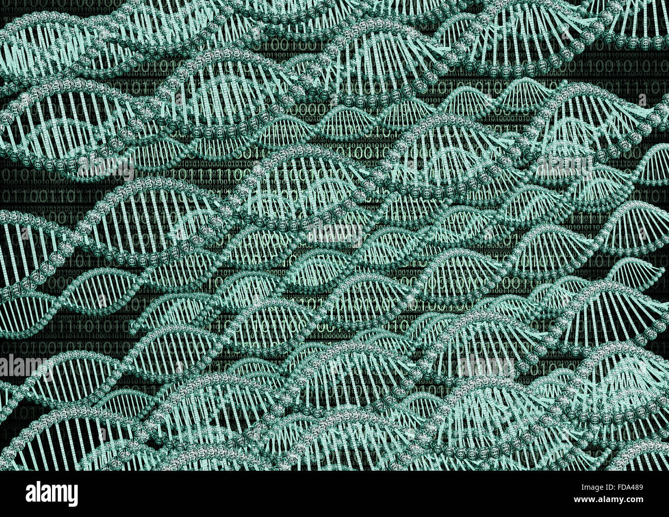 Doppel-Helix Dna aus binären Computercode gemacht Stockfoto