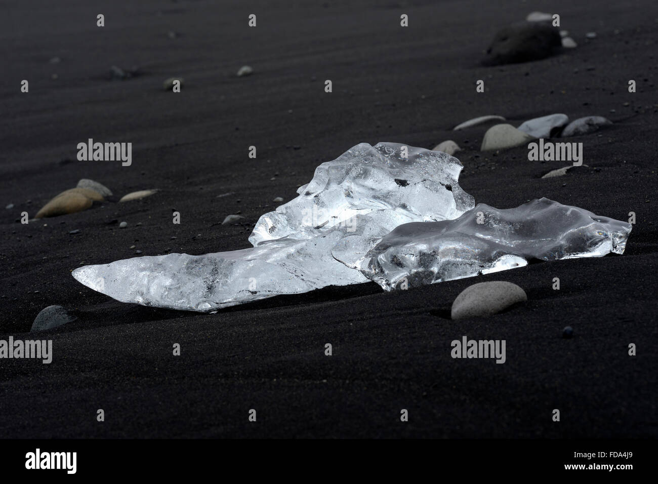 Gestrandete Icefloe neben der Lava des Breidasandur, der südlichen Region, Island Stockfoto