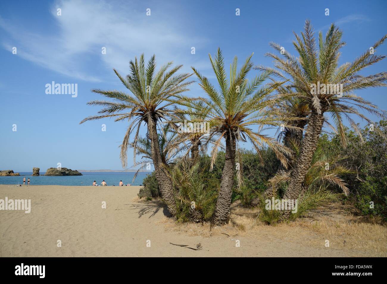 Vai-Strand mit kretischen Dattelpalmen (Phoenix Theophrasti), Lassithi, Ost Kreta, Griechenland. Stockfoto