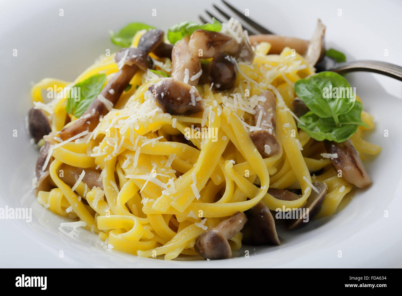 Tagliatelle mit Pilzen in Schüssel Stockfoto