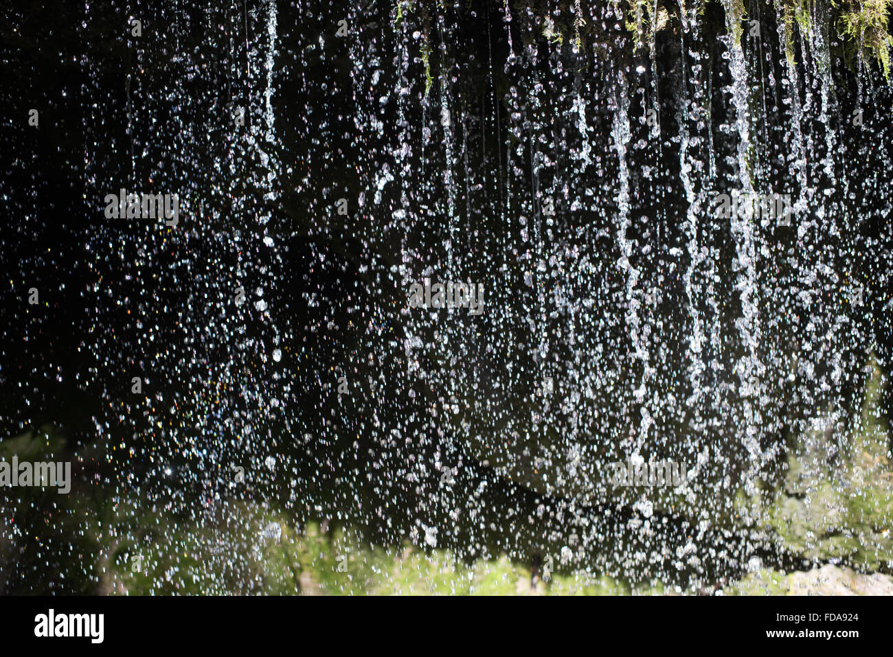 Lenzkirch, Deutschland, Wasser rinnt, Sträucher Stockfoto