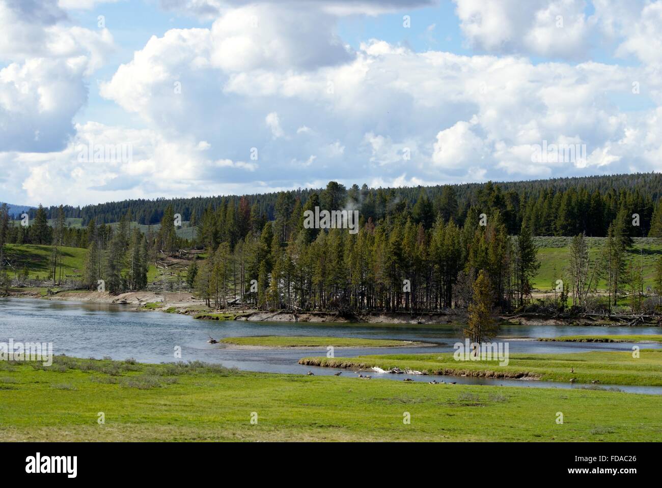 Schöne Landschaft eines Flusses im Yellowstone National Park, Montana. Stockfoto