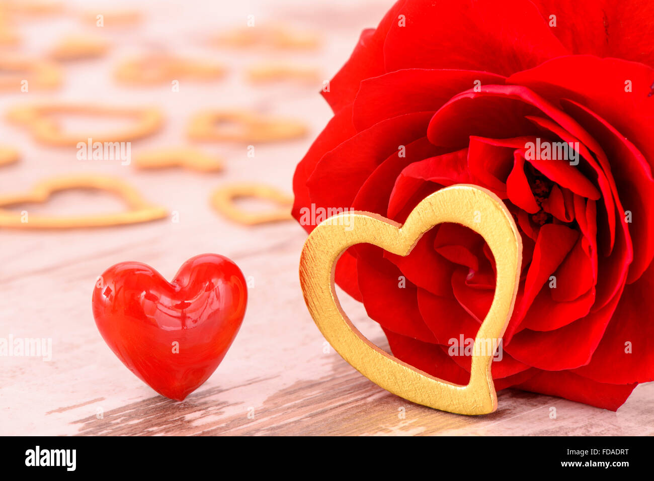rote rose in Liebe zum Geburtstag, Valentinstag und Muttertag Stockfoto