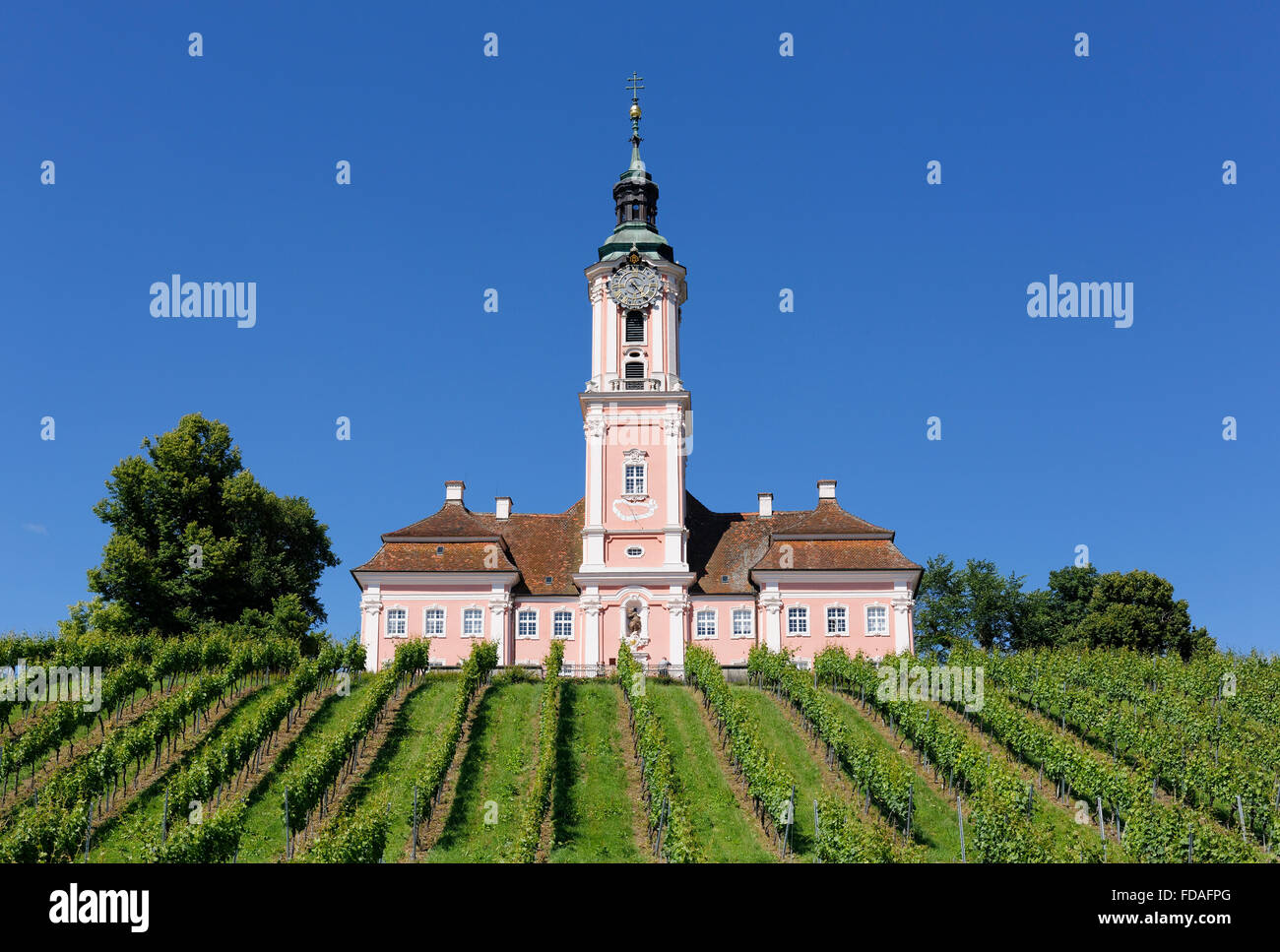 Wallfahrtskirche Birnau mit Weinberg, Uhldingen-Mühlhofen, Bodenseekreis, Oberschwaben, Baden-Württemberg, Deutschland Stockfoto