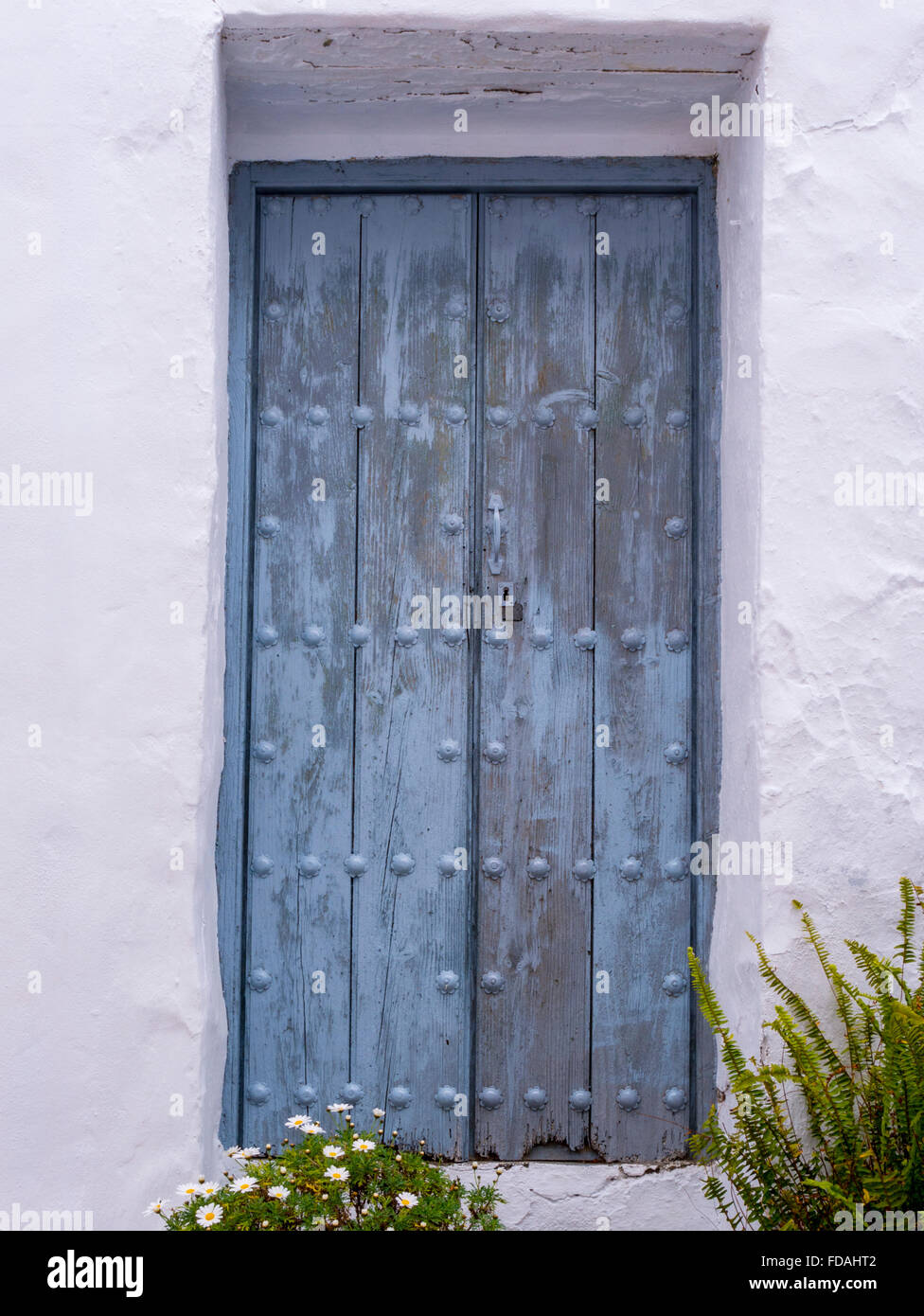 Verblasste Blaue Vertikale Planschtür, Genietet, Frigiliana, Malaga, Andalusien, Spanien. Stockfoto