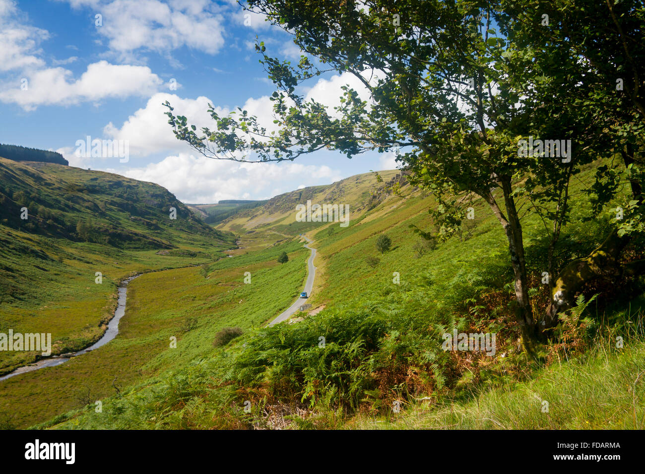 Abergwesyn Pass Bergstraße Powys Mid Wales UK Stockfoto