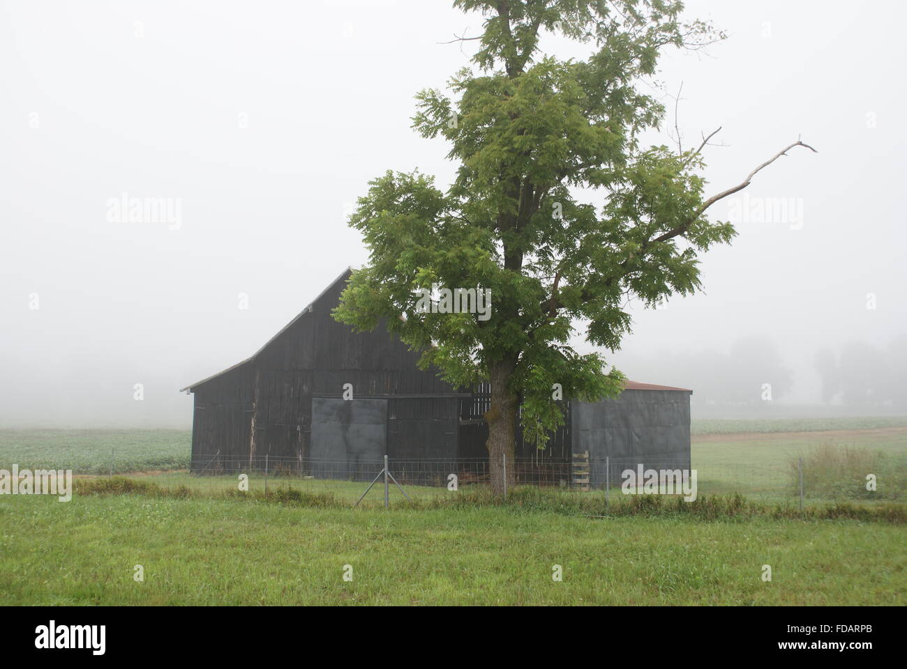 Nebel am frühen Morgen und einer alten Scheune in Kentucky. Stockfoto
