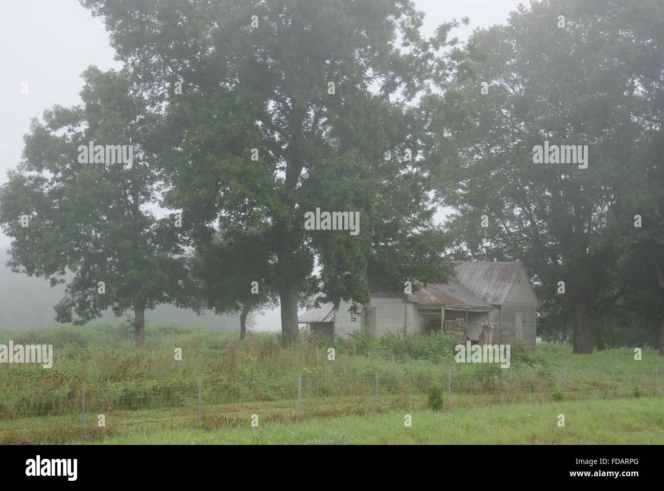 Nebel am frühen Morgen verlassen Schuss eines alten Gehöft in Kentucky. Stockfoto