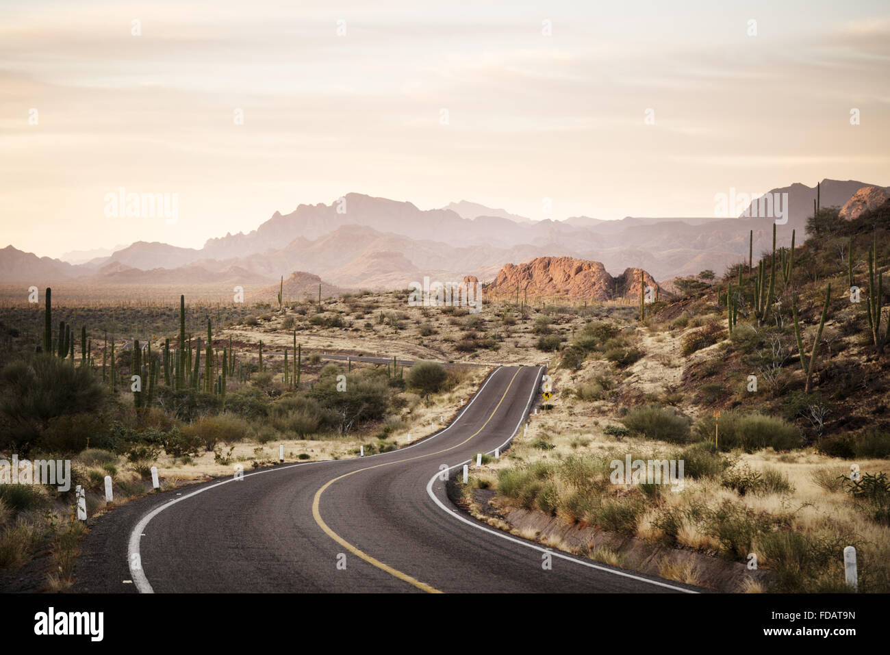 Kurvenreiche Straße durch die mexikanische Wüste von Baja California Stockfoto