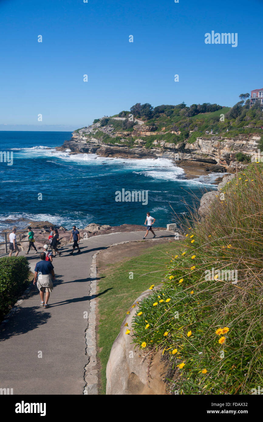 Wanderer auf Bondi, Coogee coastal walk Mackenzies Punkt im Hintergrund östlichen Vororten Sydney New South Wales NSW Australia Stockfoto