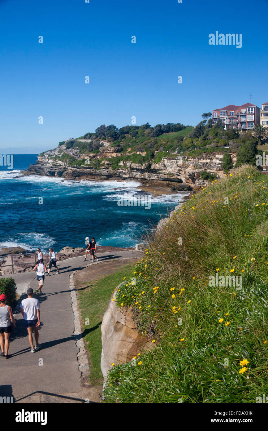 Wanderer auf Bondi, Coogee coastal walk Mackenzies Pfadpunkt im Hintergrund östlichen Vororten Sydney New South Wales NSW Australia Stockfoto