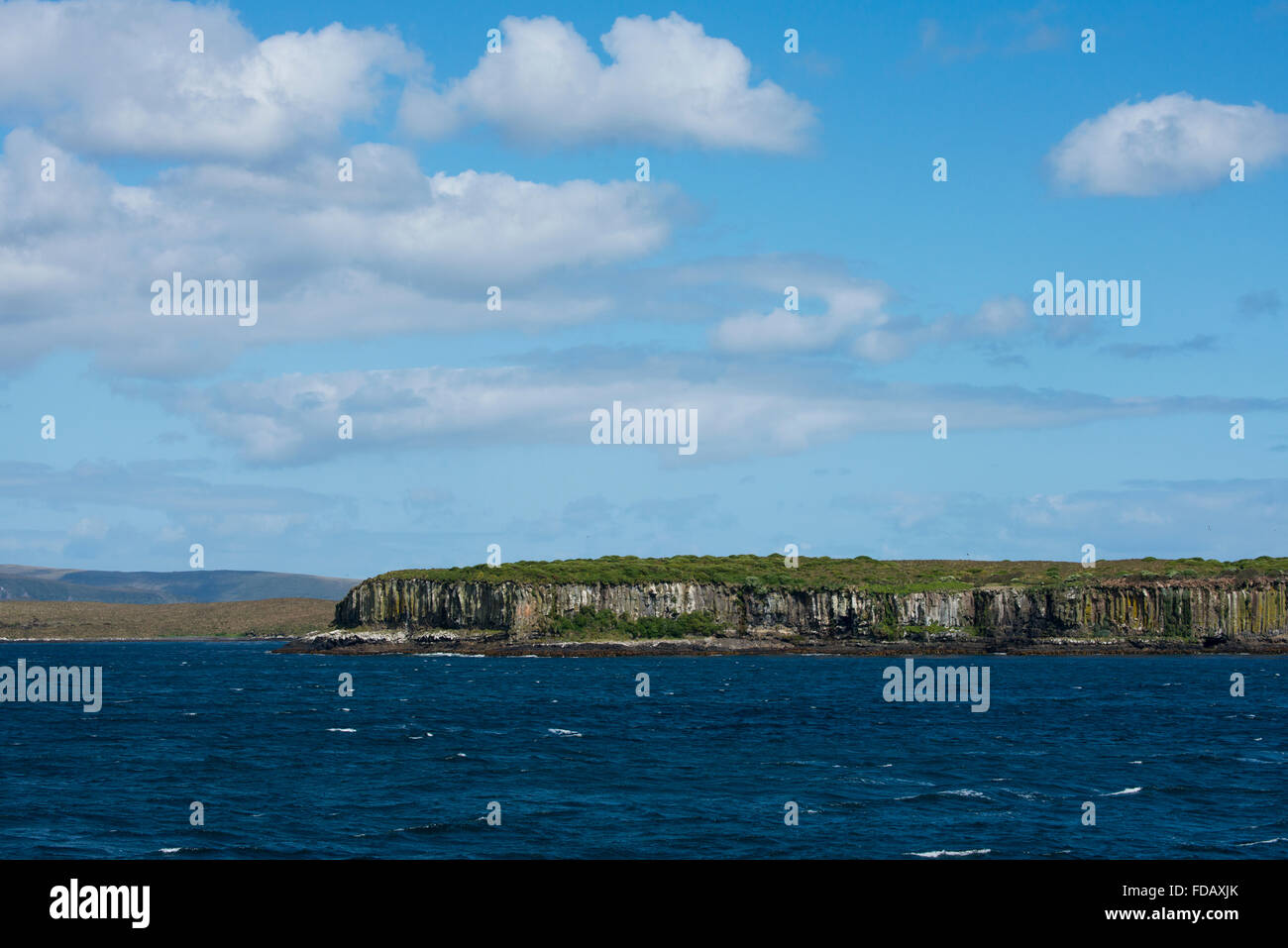 Neuseeland, Auckland-Inseln, unbewohnte Inselgruppe im südlichen Pazifik. Südlichen Meer-Blick auf die Klippen von Enderby Stockfoto