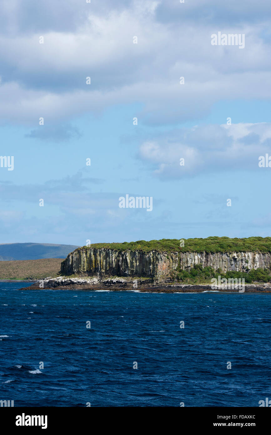 Neuseeland, Auckland-Inseln, unbewohnte Inselgruppe im südlichen Pazifik. Südlichen Meer-Blick auf den Klippen am Enderby. Stockfoto