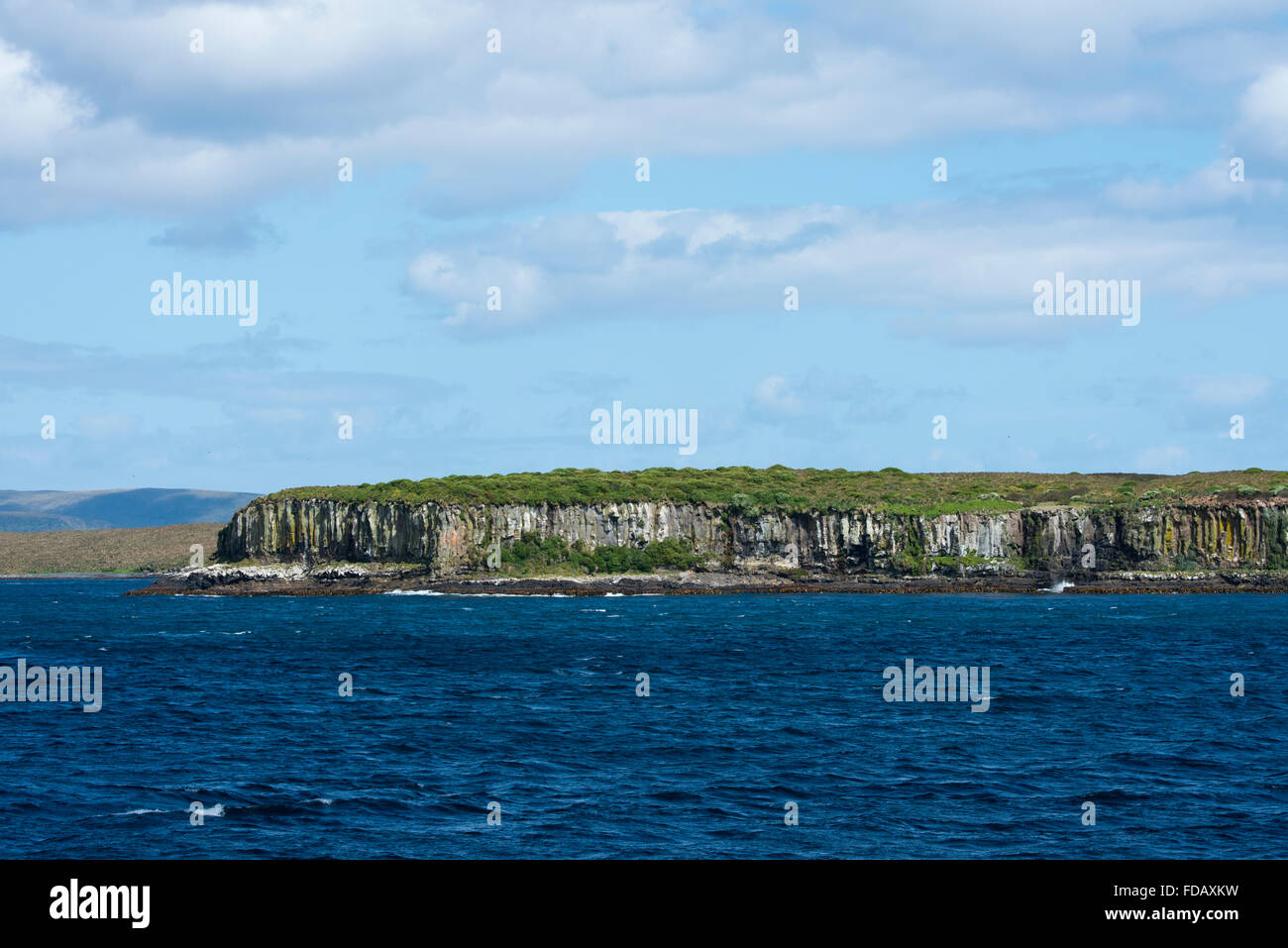 Neuseeland, Auckland-Inseln, unbewohnte Inselgruppe im südlichen Pazifik. Südlichen Meer-Blick auf den Klippen am Enderby. Stockfoto