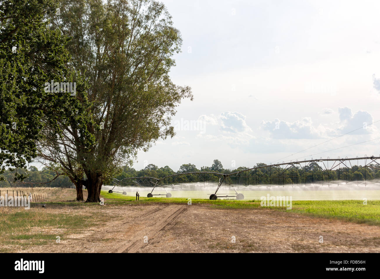 Eine seitliche verschieben Bewässerungssystem, manchmal genannt ein Linear bewegen, Wheelmove oder Seite Rollen System, Bewässerung von Pflanzen in Australien. Stockfoto
