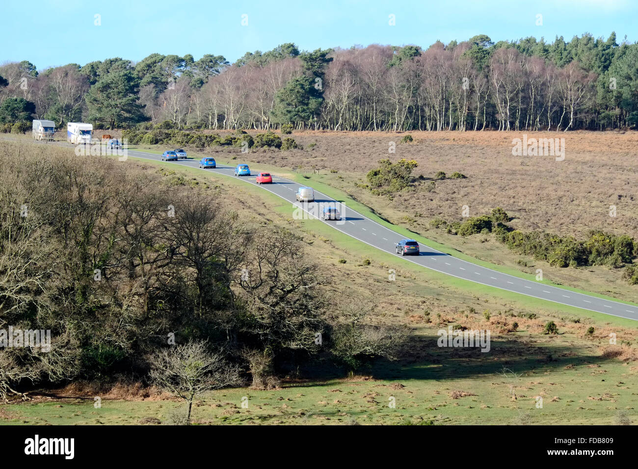 New Forest-Landschaft in der Wintersonne Stockfoto