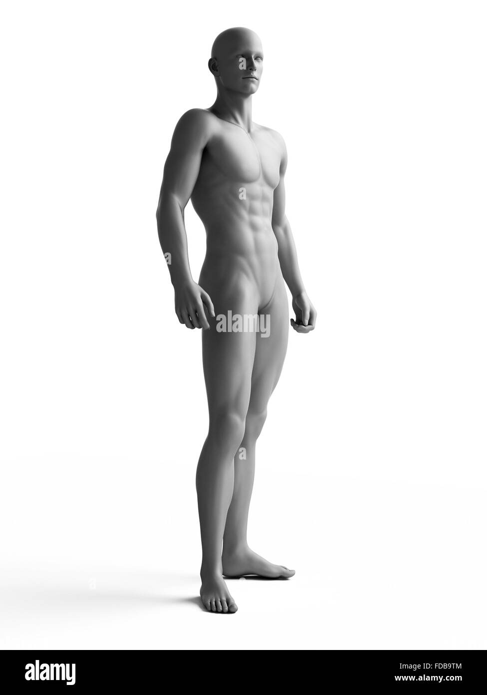 Anatomie eines Mannes stehen im Schatten, Abbildung. Stockfoto